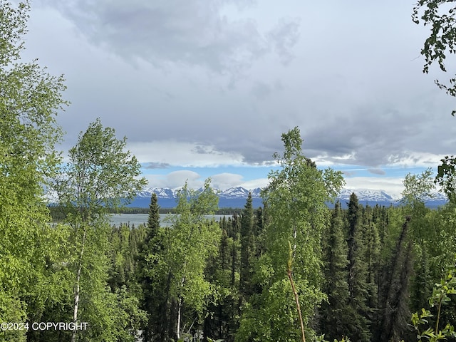 view of landscape with a mountain view