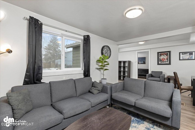 living room featuring hardwood / wood-style flooring