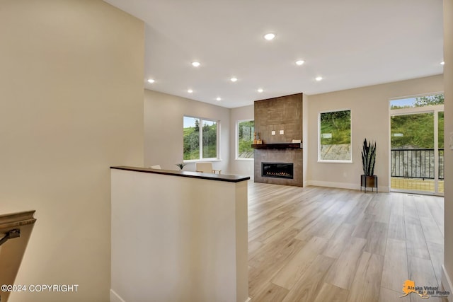 kitchen with a large fireplace and light hardwood / wood-style flooring