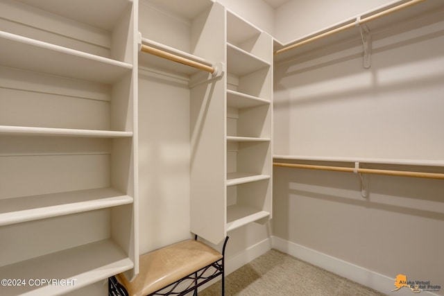 spacious closet featuring light carpet