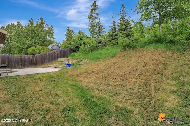 7541 Florence Cir, Anchorage, AK 99507 - view of yard with a patio