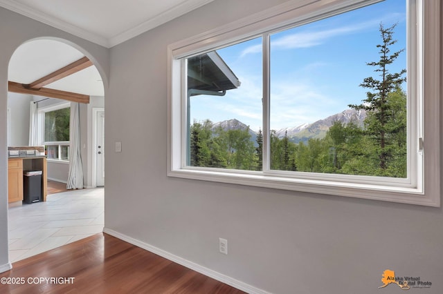10235 Stewart Dr, Eagle River, AK 99577 - spare room with arched walkways, a mountain view, ornamental molding, and light wood-style flooring