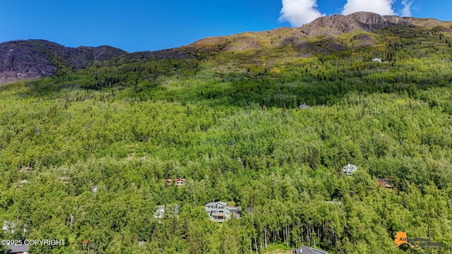 10235 Stewart Dr, Eagle River, AK 99577 - view of mountain background with a heavily wooded area