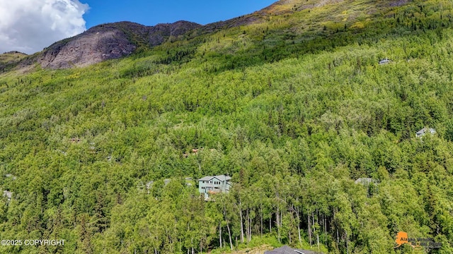 10235 Stewart Dr, Eagle River, AK 99577 - mountain view with a forest