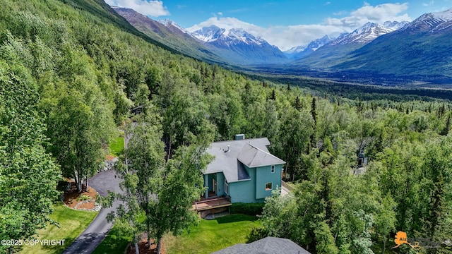 10235 Stewart Dr, Eagle River, AK 99577 - view of mountain background with a forest