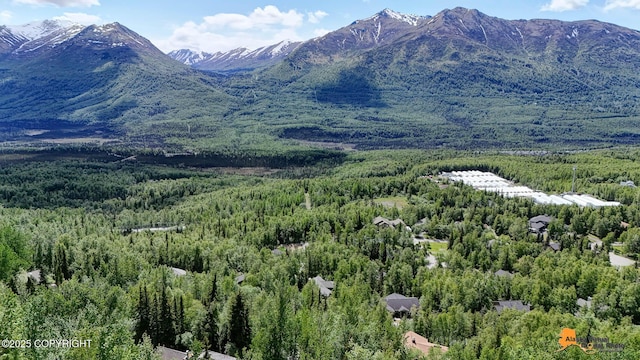 10235 Stewart Dr, Eagle River, AK 99577 - view of mountain backdrop featuring a heavily wooded area