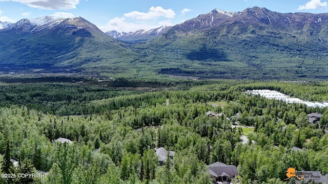 10235 Stewart Dr, Eagle River, AK 99577 - view of mountain background with a heavily wooded area