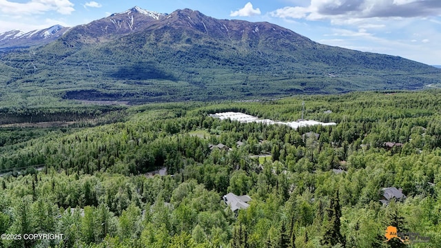 10235 Stewart Dr, Eagle River, AK 99577 - view of mountain background with a forest