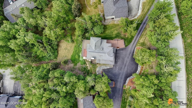 10235 Stewart Dr, Eagle River, AK 99577 - aerial view of property's location
