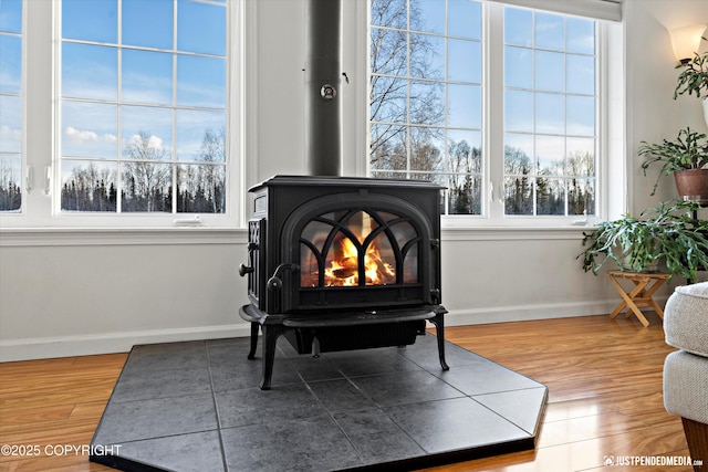 details featuring a wood stove and hardwood / wood-style floors