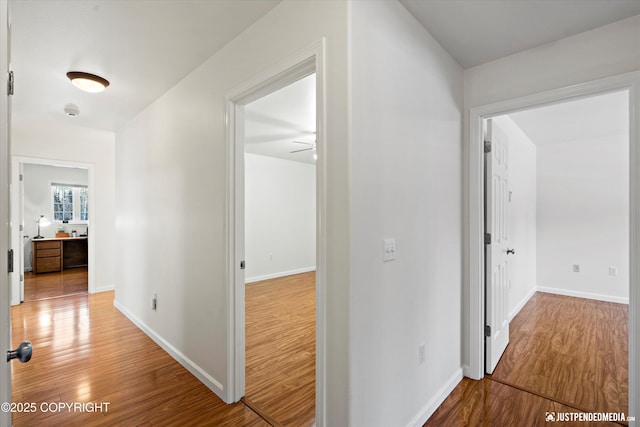 corridor featuring hardwood / wood-style flooring