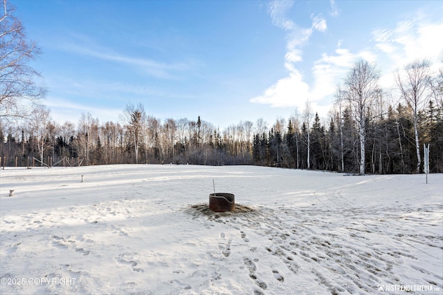 view of yard layered in snow