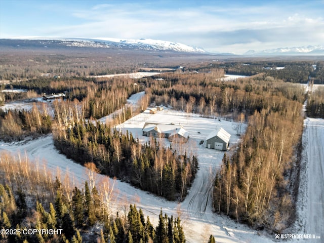 aerial view with a mountain view