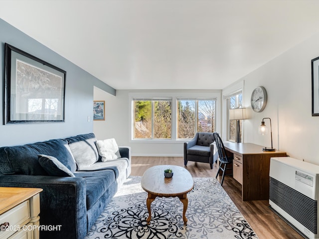 living room with heating unit and dark hardwood / wood-style flooring