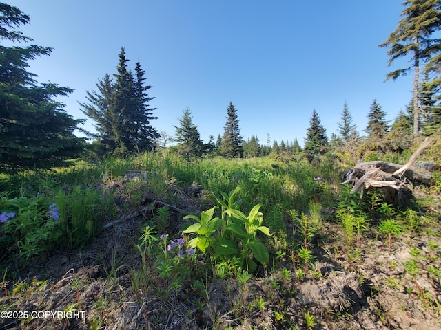 17561 Chefornak St, Ninilchik, AK 99639