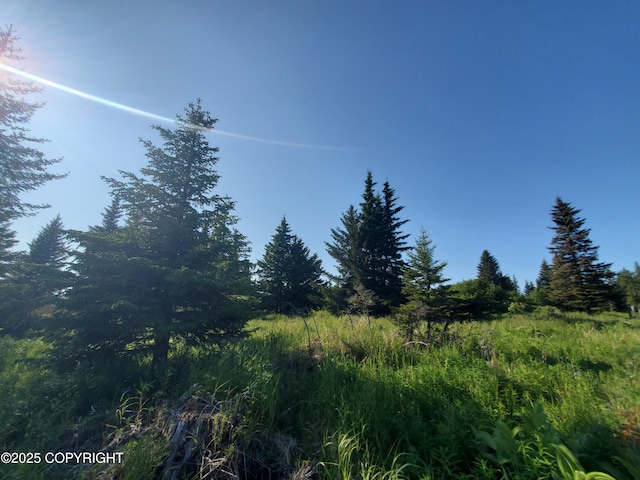 17561 Chefornak St, Ninilchik, AK 99639