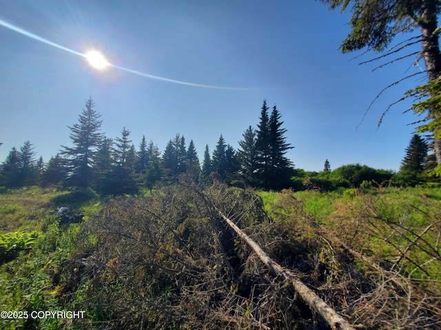 17561 Chefornak St, Ninilchik, AK 99639