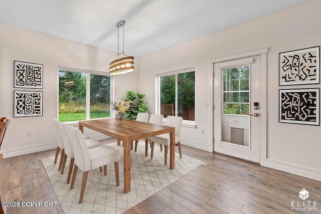 dining room with a wealth of natural light and light hardwood / wood-style floors