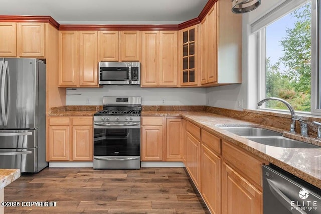 kitchen with appliances with stainless steel finishes, sink, light stone counters, and dark hardwood / wood-style floors