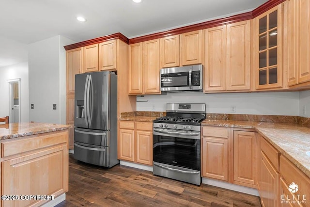 kitchen featuring stainless steel appliances, light stone counters, and dark hardwood / wood-style flooring