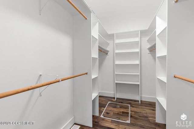 spacious closet with dark wood-type flooring