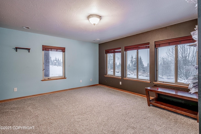 55203 Bonnie Ave, Homer, AK 99603 - photo 43