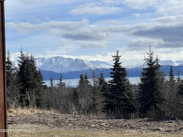 55203 Bonnie Ave, Homer, AK 99603 - photo 2