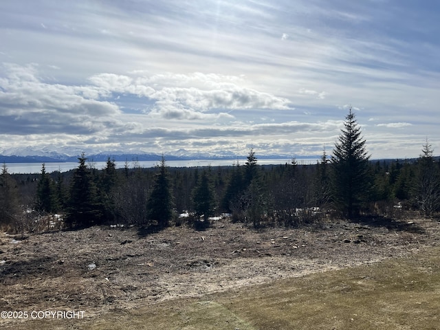 55203 Bonnie Ave, Homer, AK 99603 - photo 18
