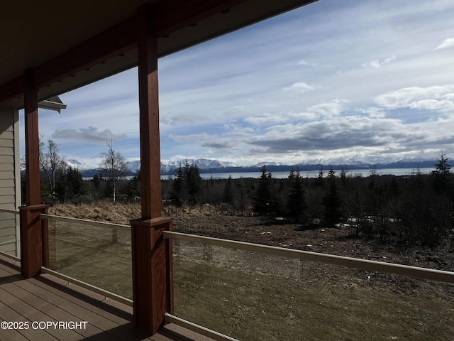 55203 Bonnie Ave, Homer, AK 99603 - photo 17