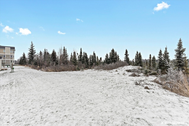 view of snowy landscape