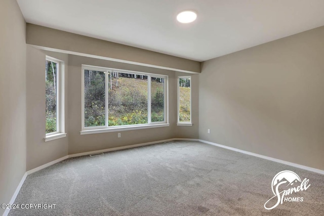 view of carpeted spare room