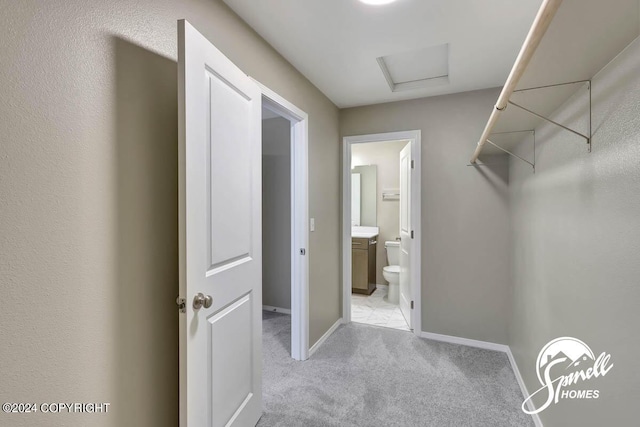 walk in closet with light colored carpet