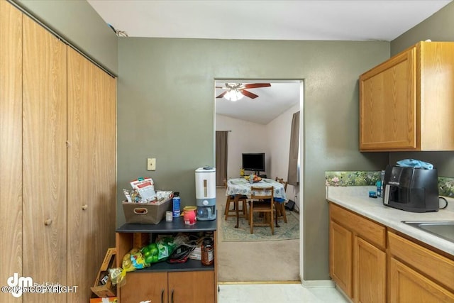 kitchen featuring lofted ceiling, sink, and ceiling fan