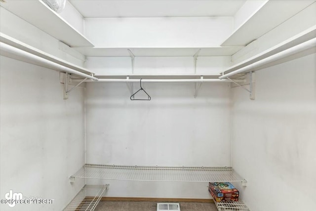 view of walk in closet