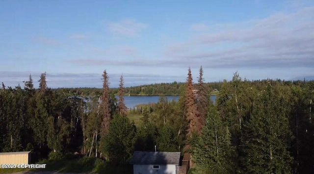 view of water feature