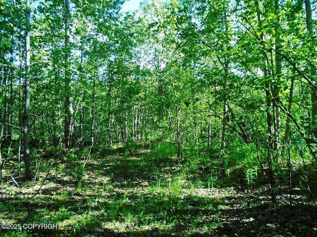 TR3 Park Dr, Chugiak AK, 99567 land for sale