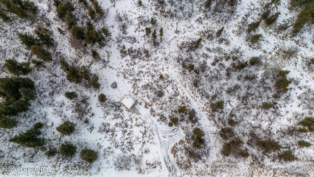 view of snowy aerial view