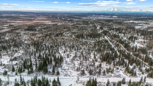 snowy aerial view with a mountain view