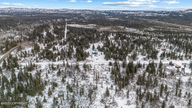 snowy aerial view featuring a mountain view