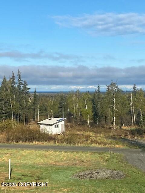 32603 Rickard St, Anchor Point, AK 99556 - view of yard