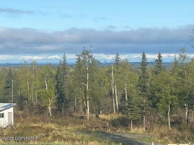 32603 Rickard St, Anchor Point, AK 99556 - view of tree filled area