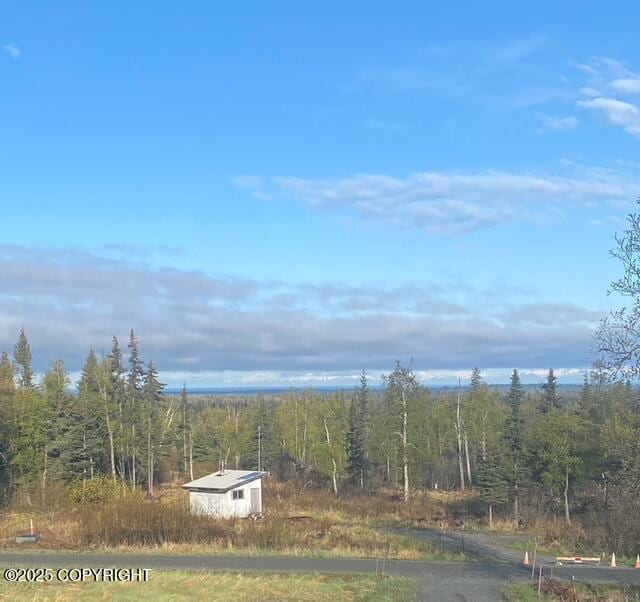 32603 Rickard St, Anchor Point, AK 99556 - view of yard