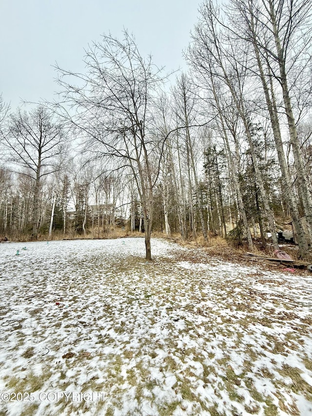 view of snowy yard