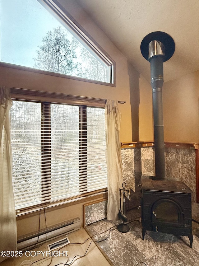 details featuring a wood stove and visible vents