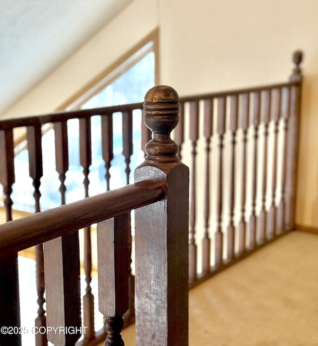 staircase with carpet flooring