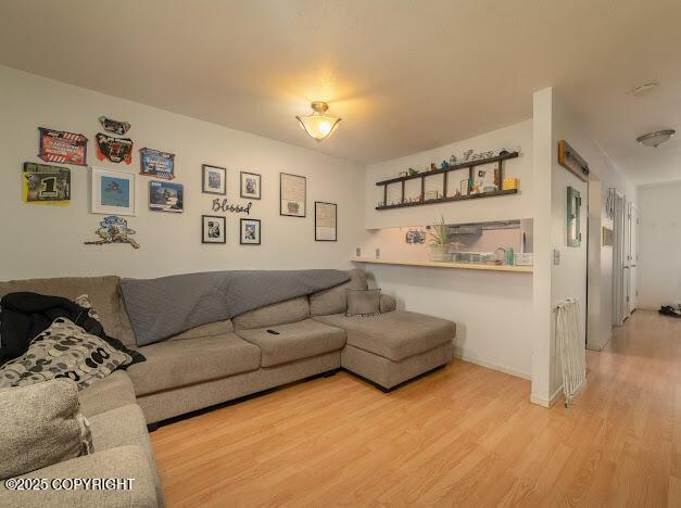 living room with hardwood / wood-style flooring