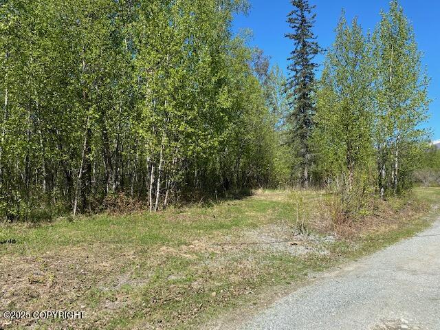 12455 E Soapstone Rd, Wasilla AK, 99645 land for sale