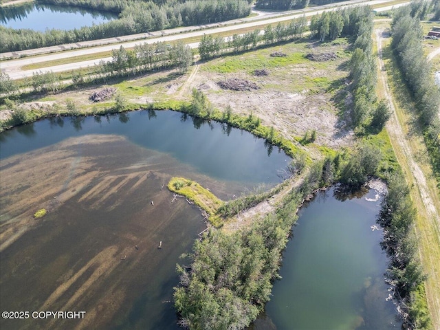 L1425 Richardson Hwy, North Pole, AK 99705 - photo 5