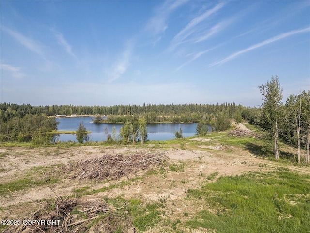 L1425 Richardson Hwy, North Pole, AK 99705 - photo 15