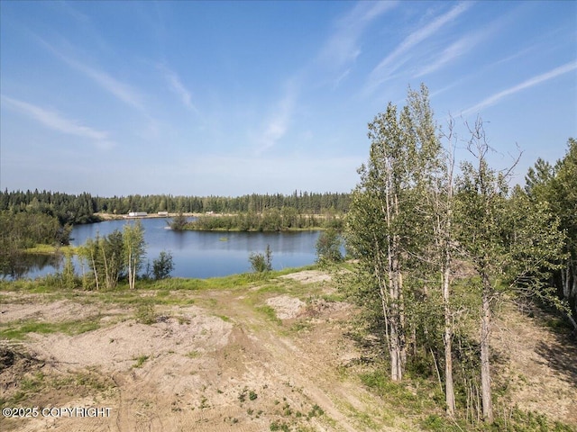 L1425 Richardson Hwy, North Pole, AK 99705 - photo 16